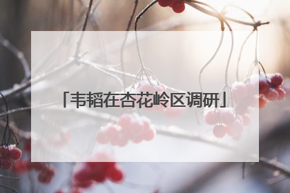 韦韬在杏花岭区调研