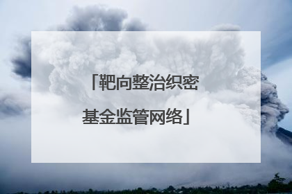 靶向整治织密基金监管网络