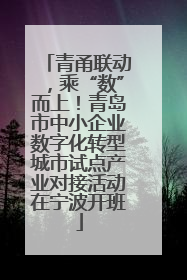 青甬联动，乘“数”而上！青岛市中小企业数字化转型城市试点产业对接活动在宁波开班