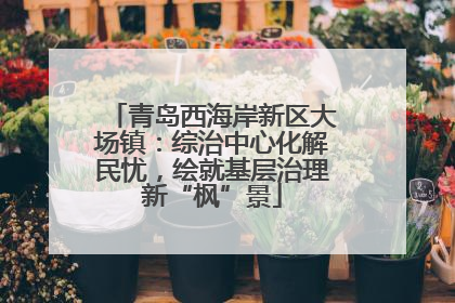 青岛西海岸新区大场镇：综治中心化解民忧，绘就基层治理新“枫”景