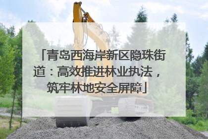 青岛西海岸新区隐珠街道：高效推进林业执法，筑牢林地安全屏障