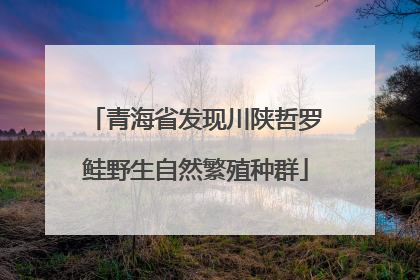 青海省发现川陕哲罗鲑野生自然繁殖种群