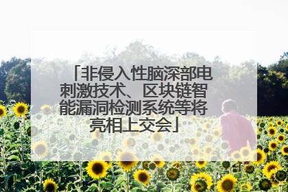 非侵入性脑深部电刺激技术、区块链智能漏洞检测系统等将亮相上交会
