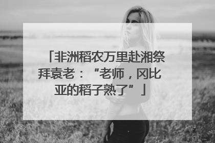 非洲稻农万里赴湘祭拜袁老：“老师，冈比亚的稻子熟了”