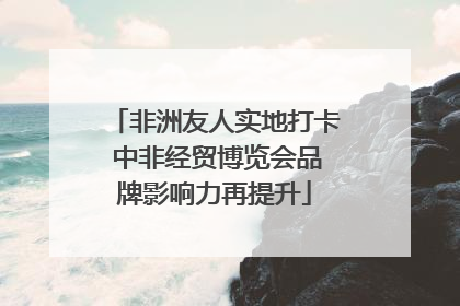 非洲友人实地打卡 中非经贸博览会品牌影响力再提升