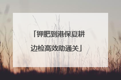 钾肥到港保夏耕 边检高效助通关