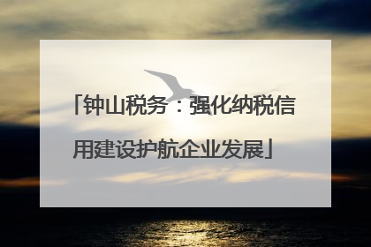 钟山税务：强化纳税信用建设护航企业发展