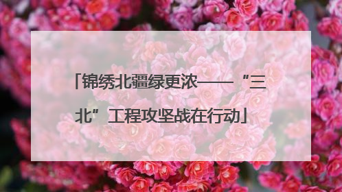 锦绣北疆绿更浓——“三北”工程攻坚战在行动
