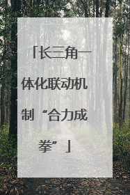长三角一体化联动机制“合力成拳”