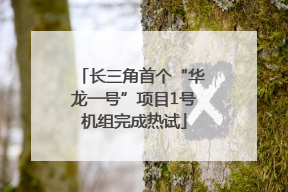 长三角首个“华龙一号”项目1号机组完成热试
