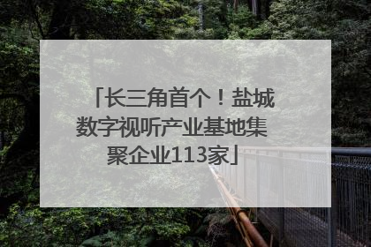 长三角首个！盐城数字视听产业基地集聚企业113家