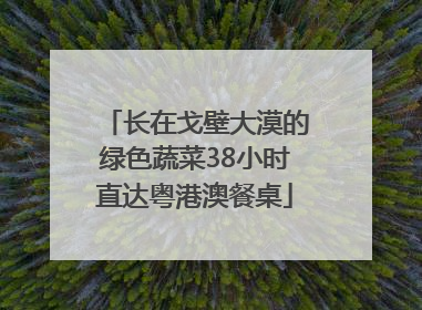 长在戈壁大漠的绿色蔬菜38小时直达粤港澳餐桌