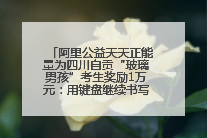 阿里公益天天正能量为四川自贡“玻璃男孩”考生奖励1万元：用键盘继续书写不设限的人生