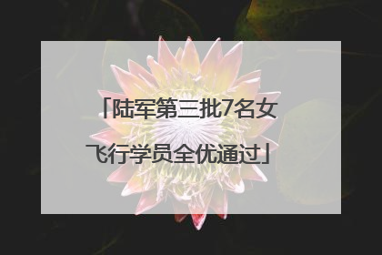 陆军第三批7名女飞行学员全优通过