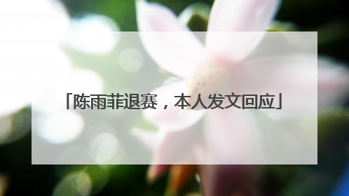陈雨菲退赛，本人发文回应