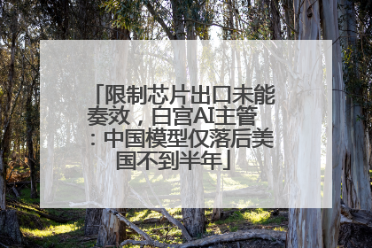 限制芯片出口未能奏效，白宫AI主管：中国模型仅落后美国不到半年