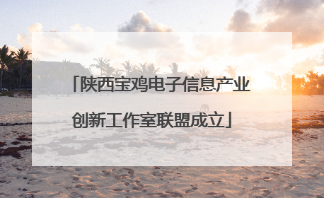陕西宝鸡电子信息产业创新工作室联盟成立