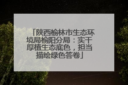 陕西榆林市生态环境局榆阳分局：实干厚植生态底色，担当描绘绿色答卷
