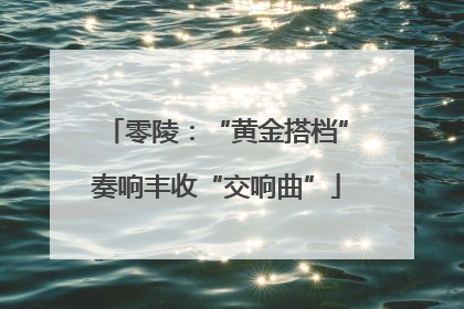 零陵：“黄金搭档”奏响丰收“交响曲”