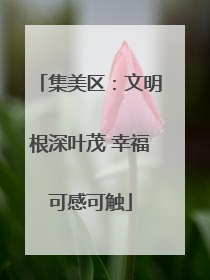 集美区：文明根深叶茂 幸福可感可触
