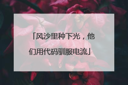 风沙里种下光，他们用代码驯服电流