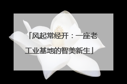 风起常经开：一座老工业基地的智美新生