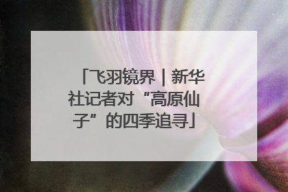 飞羽镜界｜新华社记者对“高原仙子”的四季追寻