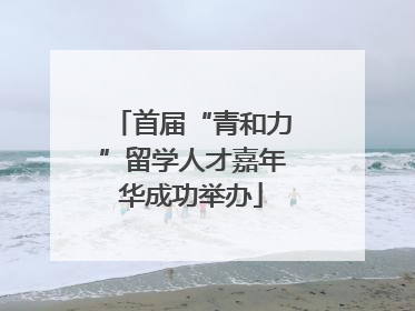 首届“青和力”留学人才嘉年华成功举办
