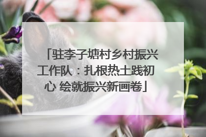 驻李子塘村乡村振兴工作队：扎根热土践初心 绘就振兴新画卷