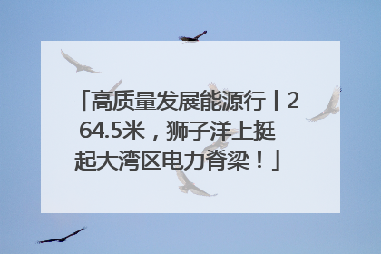 高质量发展能源行丨264.5米，狮子洋上挺起大湾区电力脊梁！