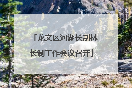 龙文区河湖长制林长制工作会议召开