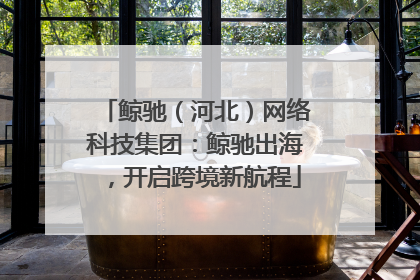 鲸驰（河北）网络科技集团：鲸驰出海，开启跨境新航程