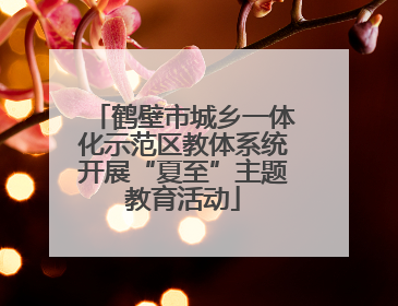 鹤壁市城乡一体化示范区教体系统开展“夏至”主题教育活动
