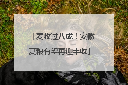 麦收过八成！安徽夏粮有望再迎丰收