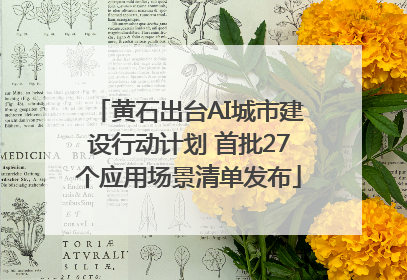 黄石出台AI城市建设行动计划 首批27个应用场景清单发布