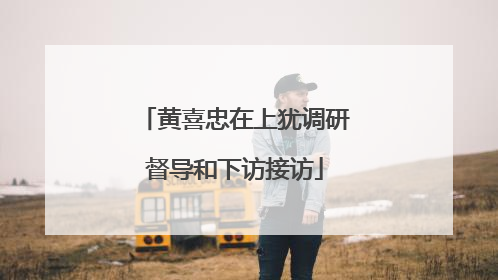 黄喜忠在上犹调研督导和下访接访