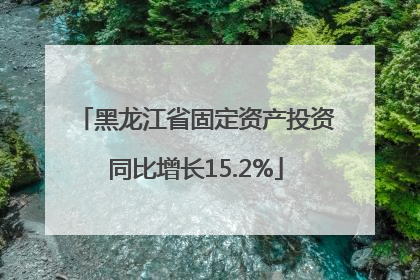 黑龙江省固定资产投资同比增长15.2%