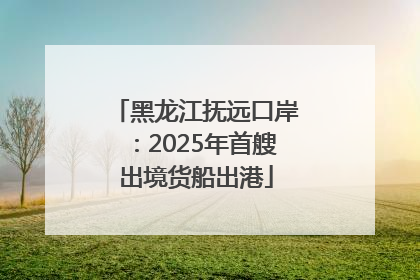 黑龙江抚远口岸：2025年首艘出境货船出港
