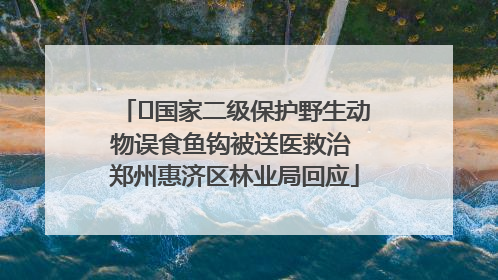 ﻿国家二级保护野生动物误食鱼钩被送医救治 郑州惠济区林业局回应