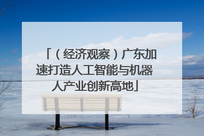 （经济观察）广东加速打造人工智能与机器人产业创新高地