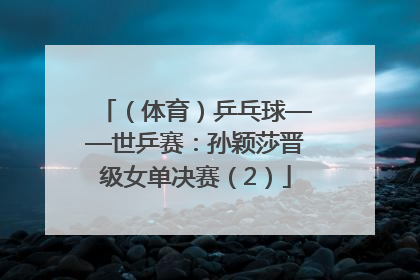 （体育）乒乓球——世乒赛：孙颖莎晋级女单决赛（2）