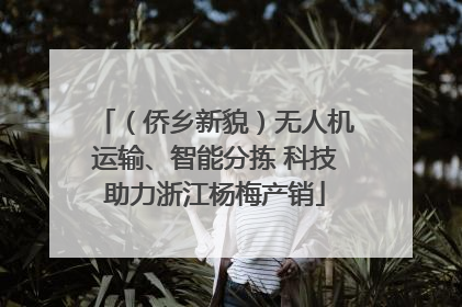 （侨乡新貌）无人机运输、智能分拣 科技助力浙江杨梅产销