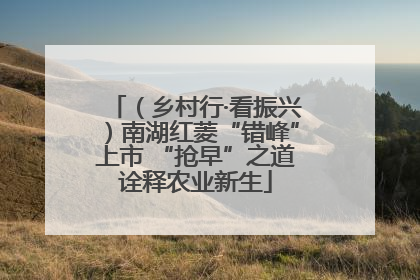 （乡村行·看振兴）南湖红菱“错峰”上市 “抢早”之道诠释农业新生