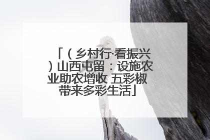 （乡村行·看振兴）山西屯留：设施农业助农增收 五彩椒带来多彩生活