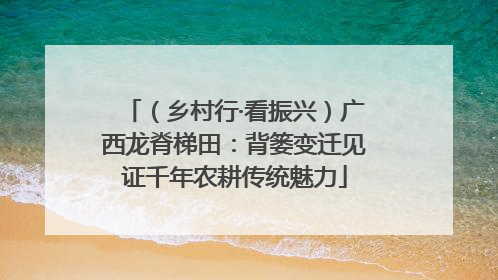 （乡村行·看振兴）广西龙脊梯田：背篓变迁见证千年农耕传统魅力