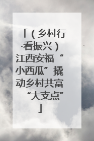 （乡村行·看振兴）江西安福“小西瓜”撬动乡村共富“大支点”