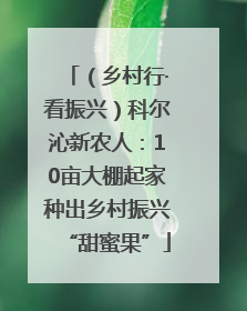 （乡村行·看振兴）科尔沁新农人：10亩大棚起家种出乡村振兴“甜蜜果”