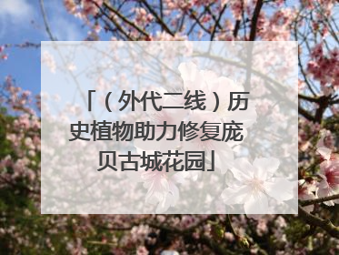 （外代二线）历史植物助力修复庞贝古城花园