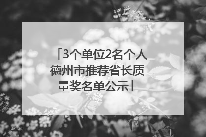 3个单位2名个人 德州市推荐省长质量奖名单公示