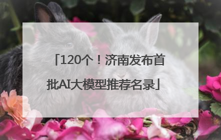 120个！济南发布首批AI大模型推荐名录